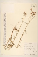 登錄號:S095933藏品圖，第1張