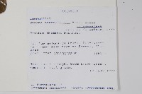 登錄號:S095942藏品圖，第2張