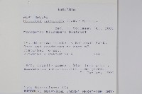 瘤子草藏品圖，第2張