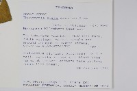 黑眼花藏品圖，第2張