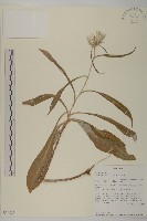 登錄號:S096033藏品圖，第1張