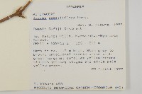 登錄號:S096033藏品圖，第2張