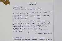 登錄號:S096053藏品圖，第2張