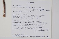 登錄號:S096076藏品圖，第2張