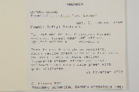 大葉欖仁藏品圖，第2張