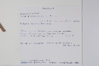 登錄號:S096162藏品圖，第2張