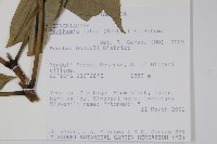 登錄號:S096185藏品圖，第2張