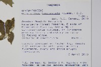 登錄號:S096350藏品圖，第2張