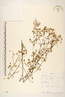 登錄號:S096354藏品圖，第1張