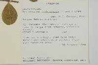 登錄號:S096367藏品圖，第2張