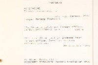 長柄菊藏品圖，第2張