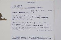 登錄號:S096387藏品圖，第2張