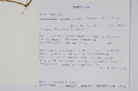 登錄號:S096415藏品圖，第2張