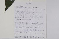 登錄號:S096420藏品圖，第2張