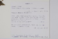 登錄號:S096423藏品圖，第2張