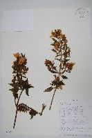 登錄號:S096459藏品圖，第1張