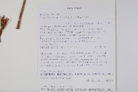 登錄號:S096459藏品圖，第2張