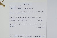 登錄號:S096489藏品圖，第2張