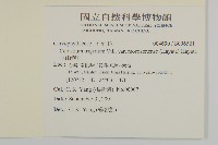 玉山卷耳藏品圖，第2張