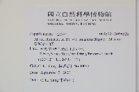 臺灣糯米條藏品圖，第2張