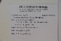 著生珊瑚樹藏品圖，第2張