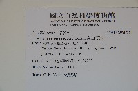 高山莢迷藏品圖，第2張