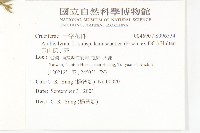 玉山筷子芥藏品圖，第2張