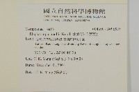 地膽草、毛蓮菜藏品圖，第2張