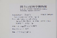 下花細辛藏品圖，第2張