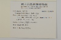 南華南蛇藤，青江藤藏品圖，第2張