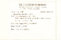 豨薟藏品圖，第2張