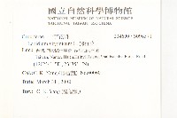 獨行菜藏品圖，第2張