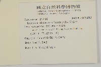 卵葉刺果衛矛藏品圖，第2張