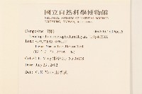 玉山薄雪草藏品圖，第2張