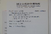 松田氏莢迷、宜昌莢迷藏品圖，第2張