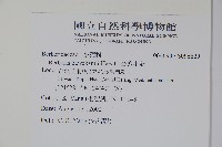 臺灣小蘗藏品圖，第2張