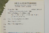 下田菊藏品圖，第2張