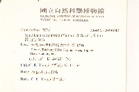 高山破傘菊藏品圖，第2張