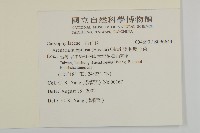 亞毛無心菜藏品圖，第2張