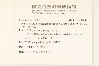 黃山蟹甲草藏品圖，第2張