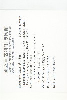 耿氏虎皮楠藏品圖，第2張