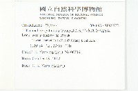 倒吊蓮、匙葉燈籠草藏品圖，第2張