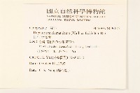 田代氏澤蘭藏品圖，第2張
