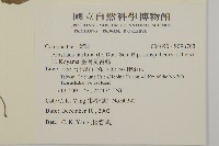 臺灣鬼督郵藏品圖，第2張