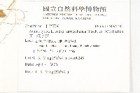 玉山筷子芥藏品圖，第2張