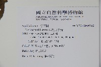 草野氏冬青藏品圖，第2張