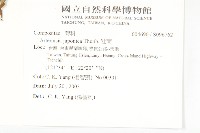 牡蒿藏品圖，第2張
