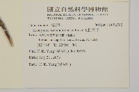 交趾衛矛藏品圖，第2張