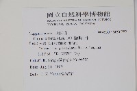 蘭嶼山柑藏品圖，第2張