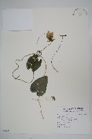 登錄號:S096808藏品圖，第1張